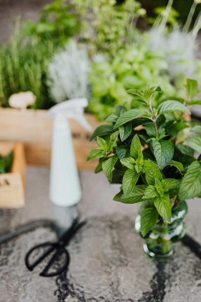 Container gardening pots with plants on balcony