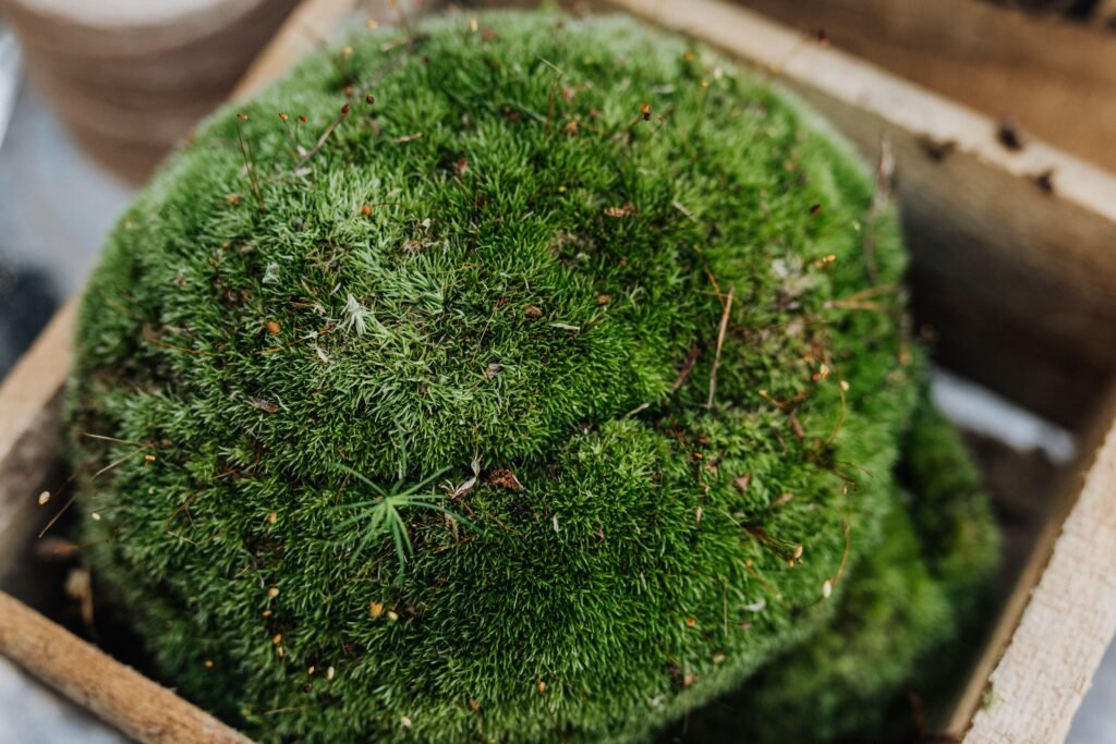 Potted plant container drainage system